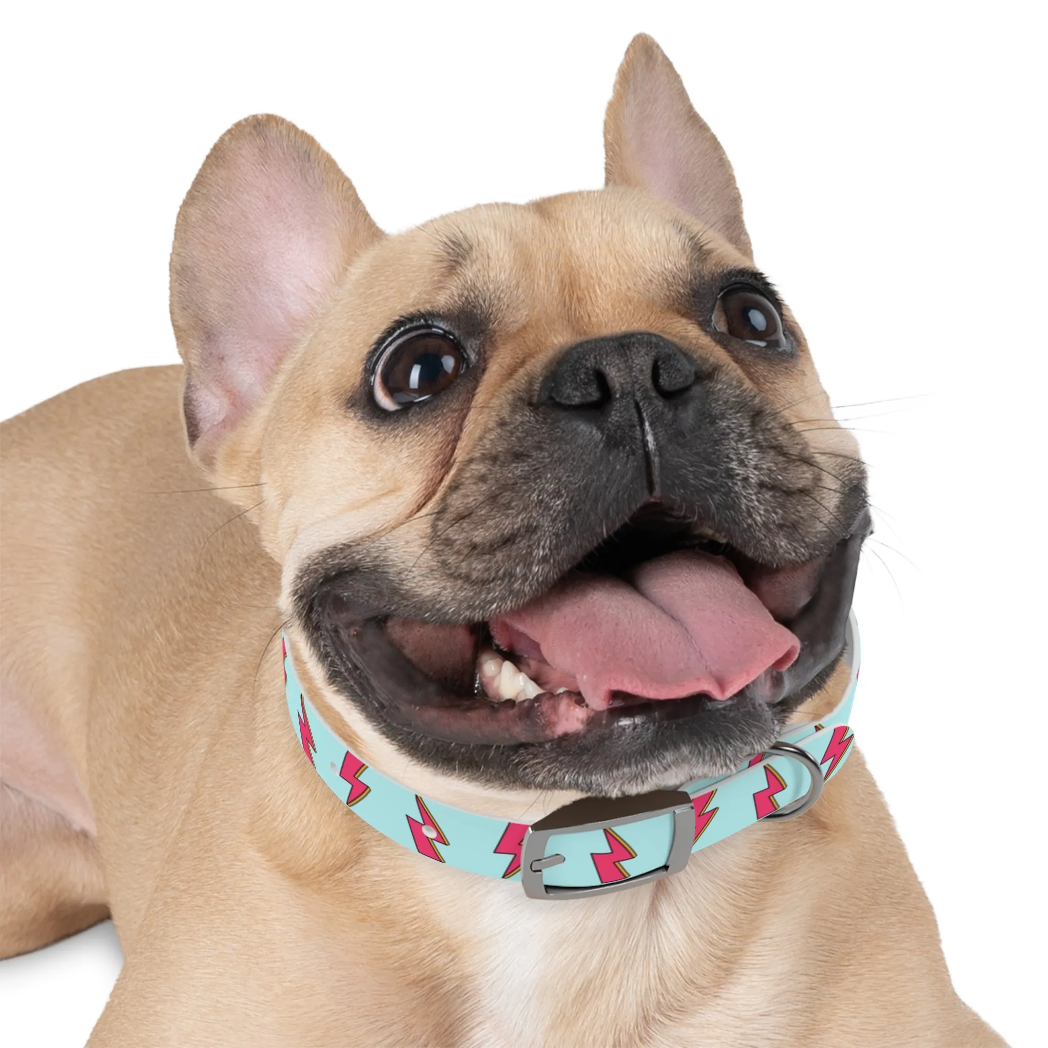 Bowie Ziggy Stardust Lightning Bolt Dog Collar