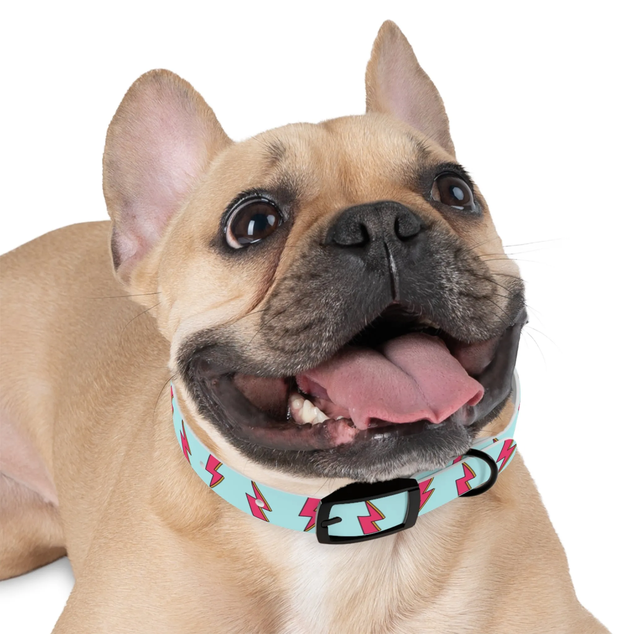 Bowie Ziggy Stardust Lightning Bolt Dog Collar