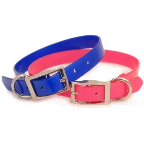 Bright Waterproof Dog Collar
