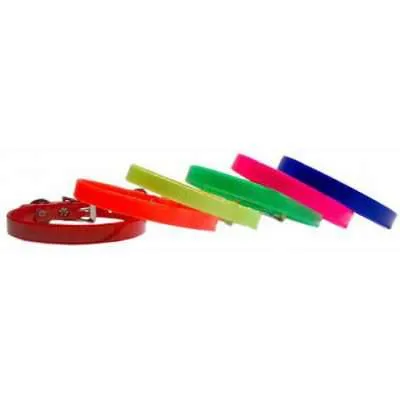 Bright Waterproof Dog Collar