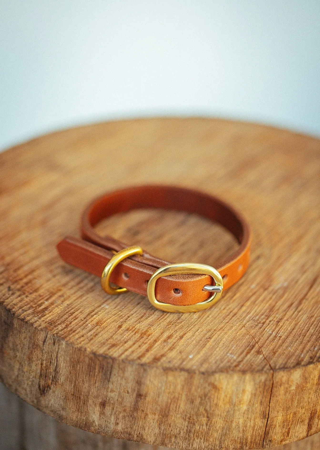 Classic Dog Collar - 12mm - Tan