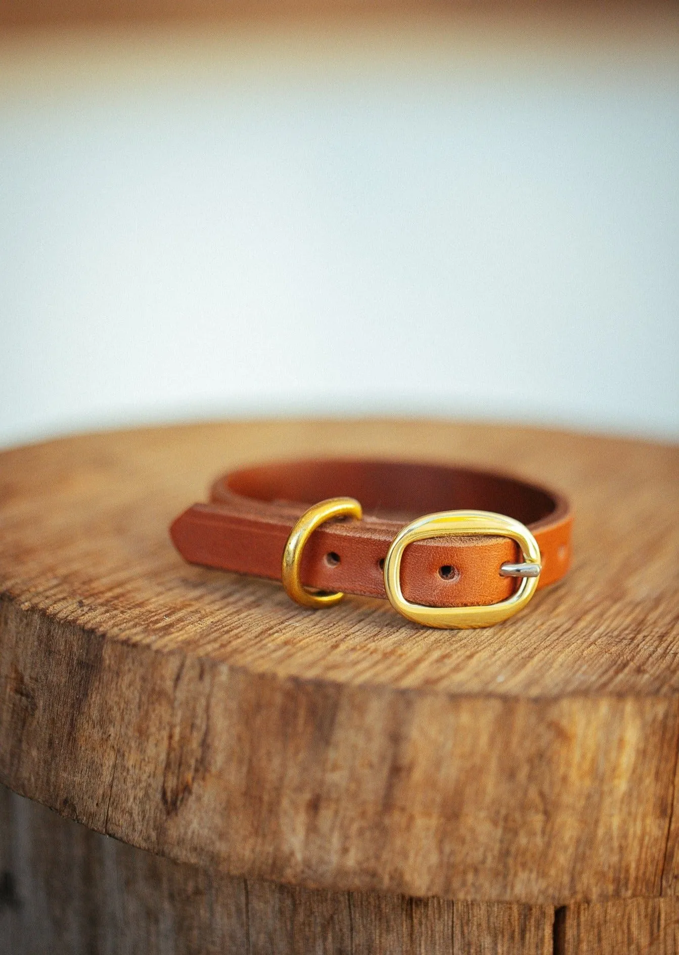 Classic Dog Collar - 12mm - Tan