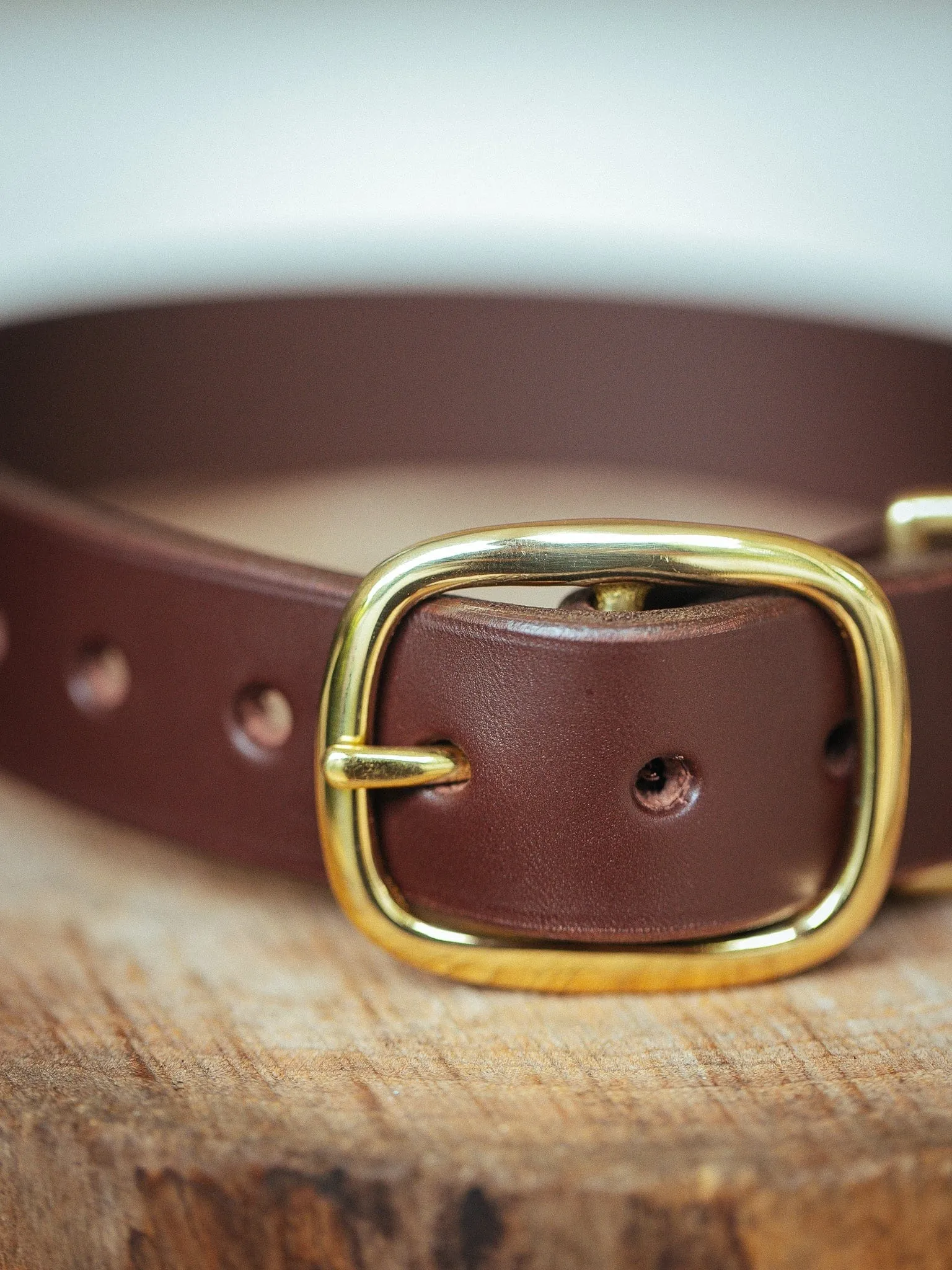 Classic Dog Collar - 32mm - Burgundy