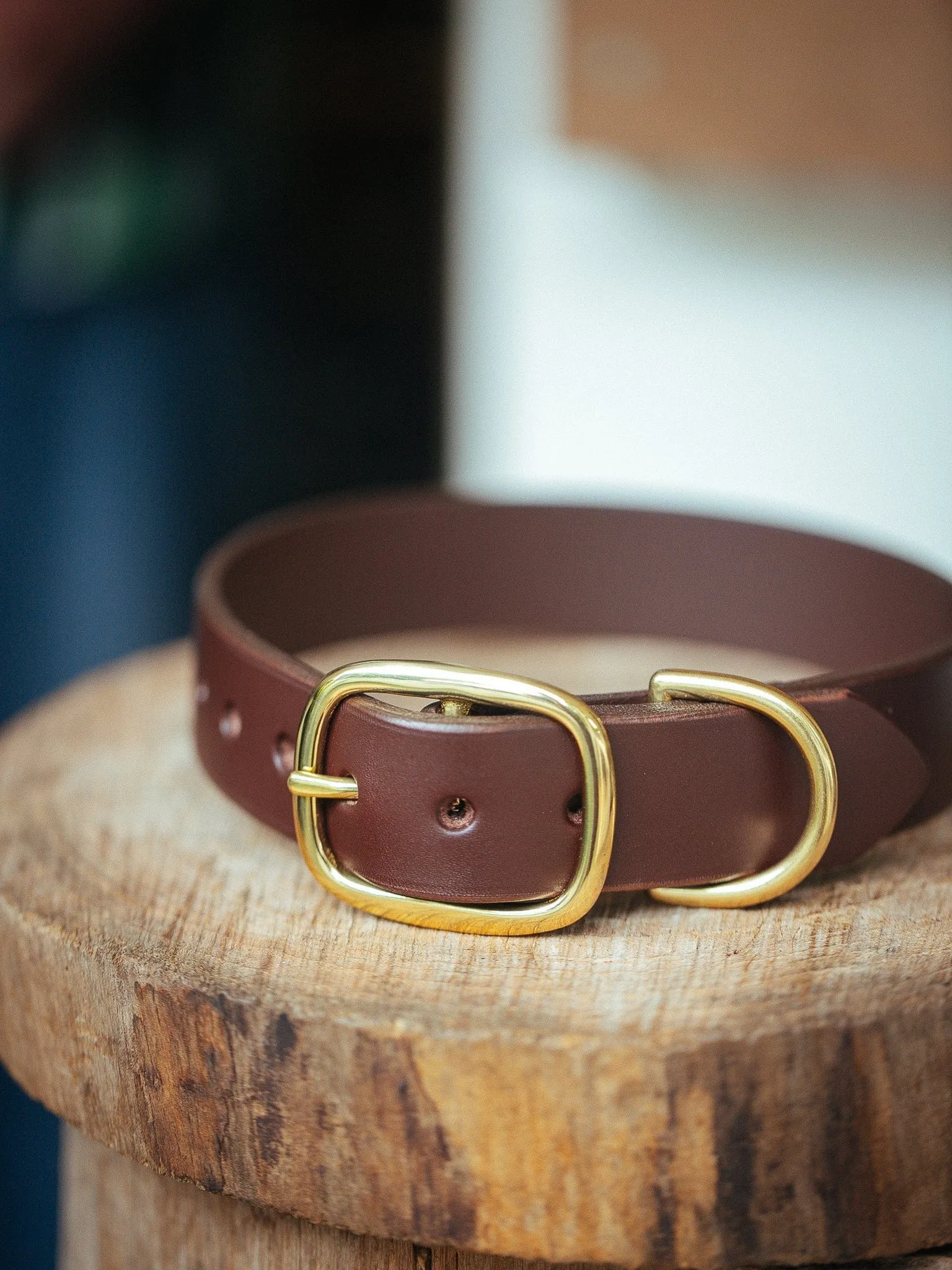 Classic Dog Collar - 32mm - Burgundy