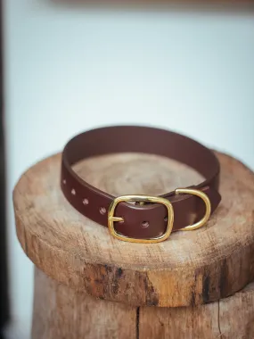 Classic Dog Collar - 32mm - Burgundy