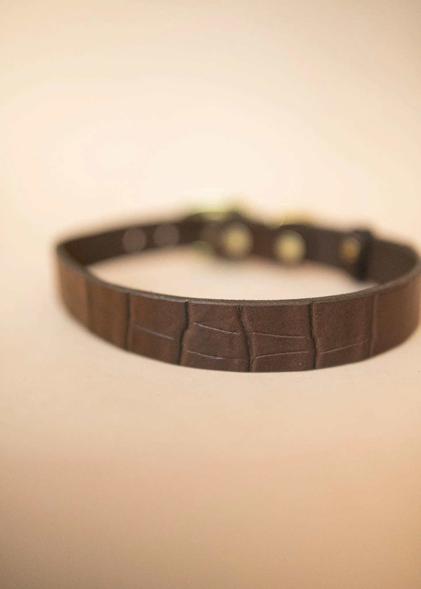 Embossed Dog Collar - Croc Print - 25mm - Dark Brown