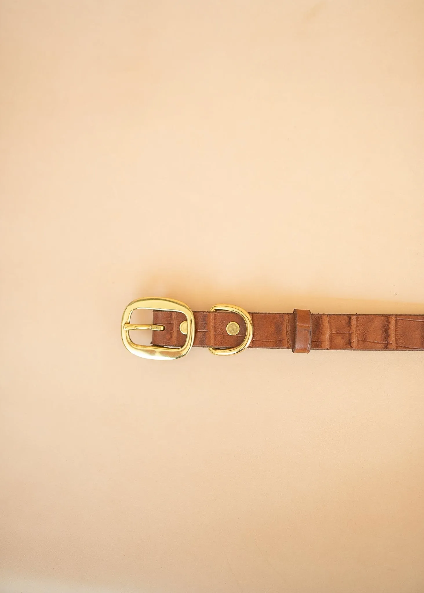 Embossed Dog Collar - Croc Print - 25mm - Tan