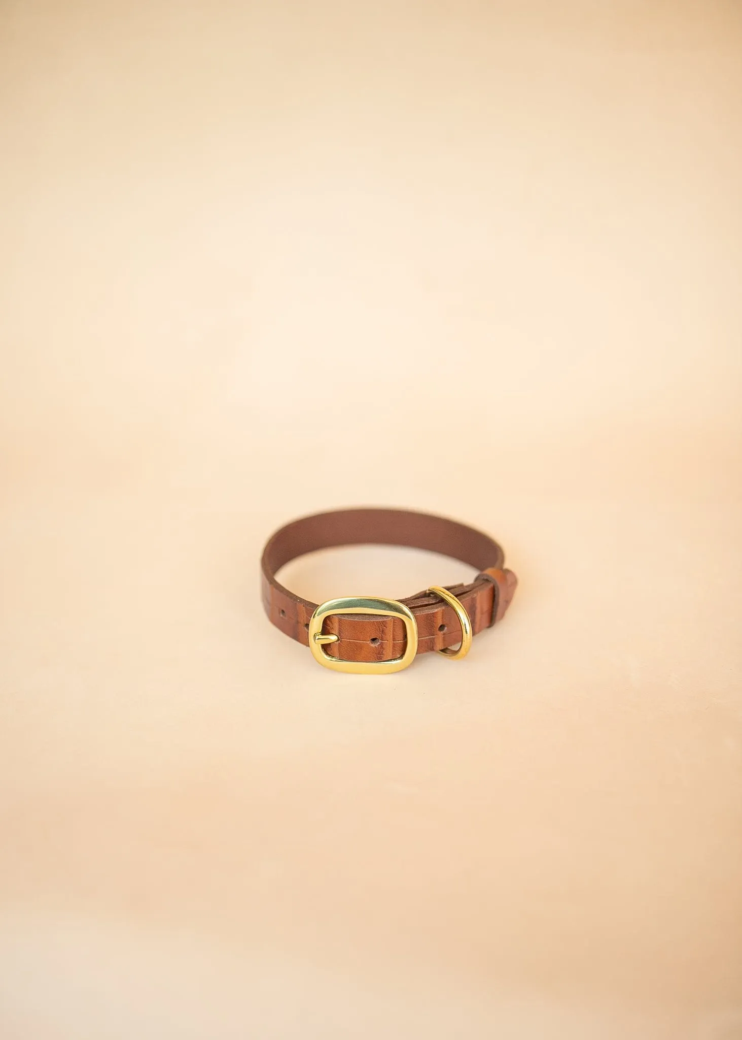 Embossed Dog Collar - Croc Print - 25mm - Tan