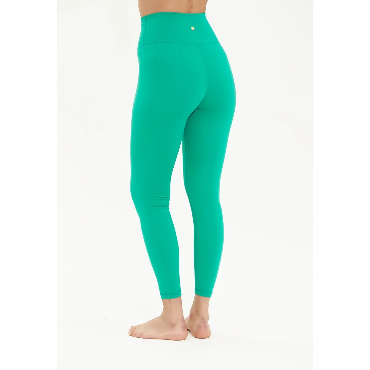 Franz W Tights - Parakeet