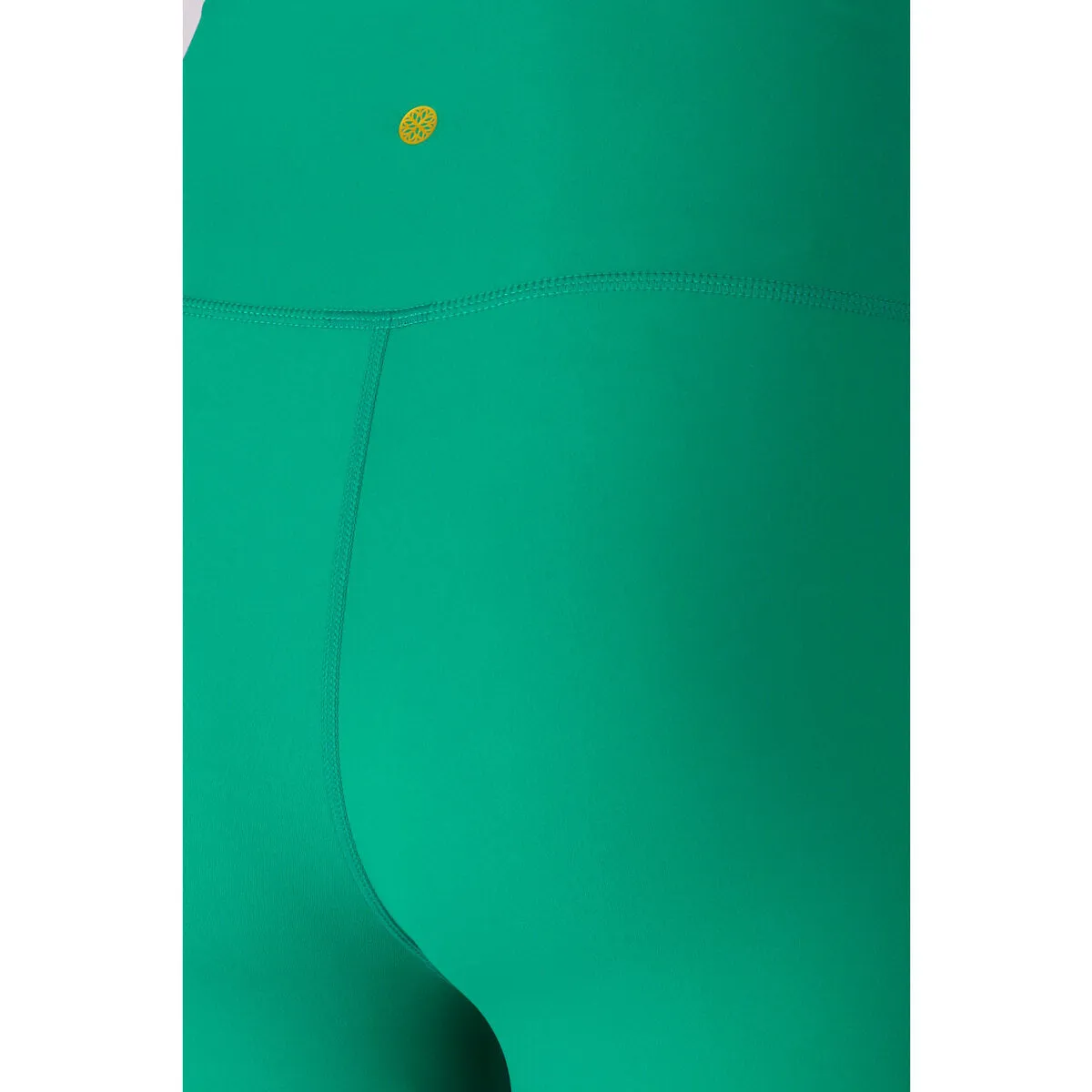 Franz W Tights - Parakeet