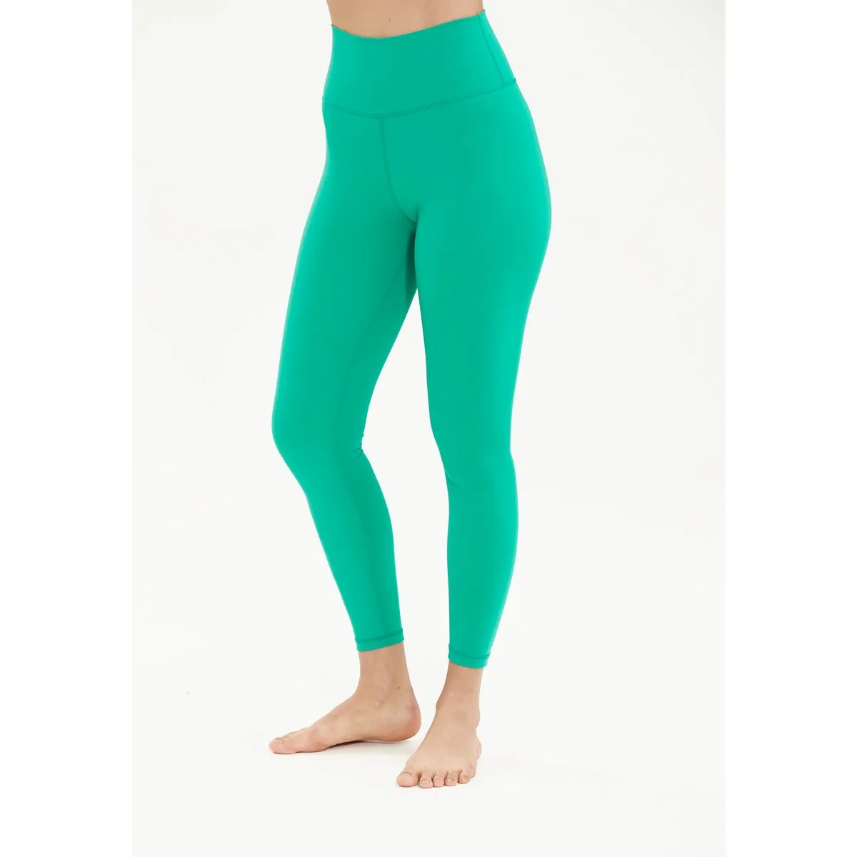 Franz W Tights - Parakeet
