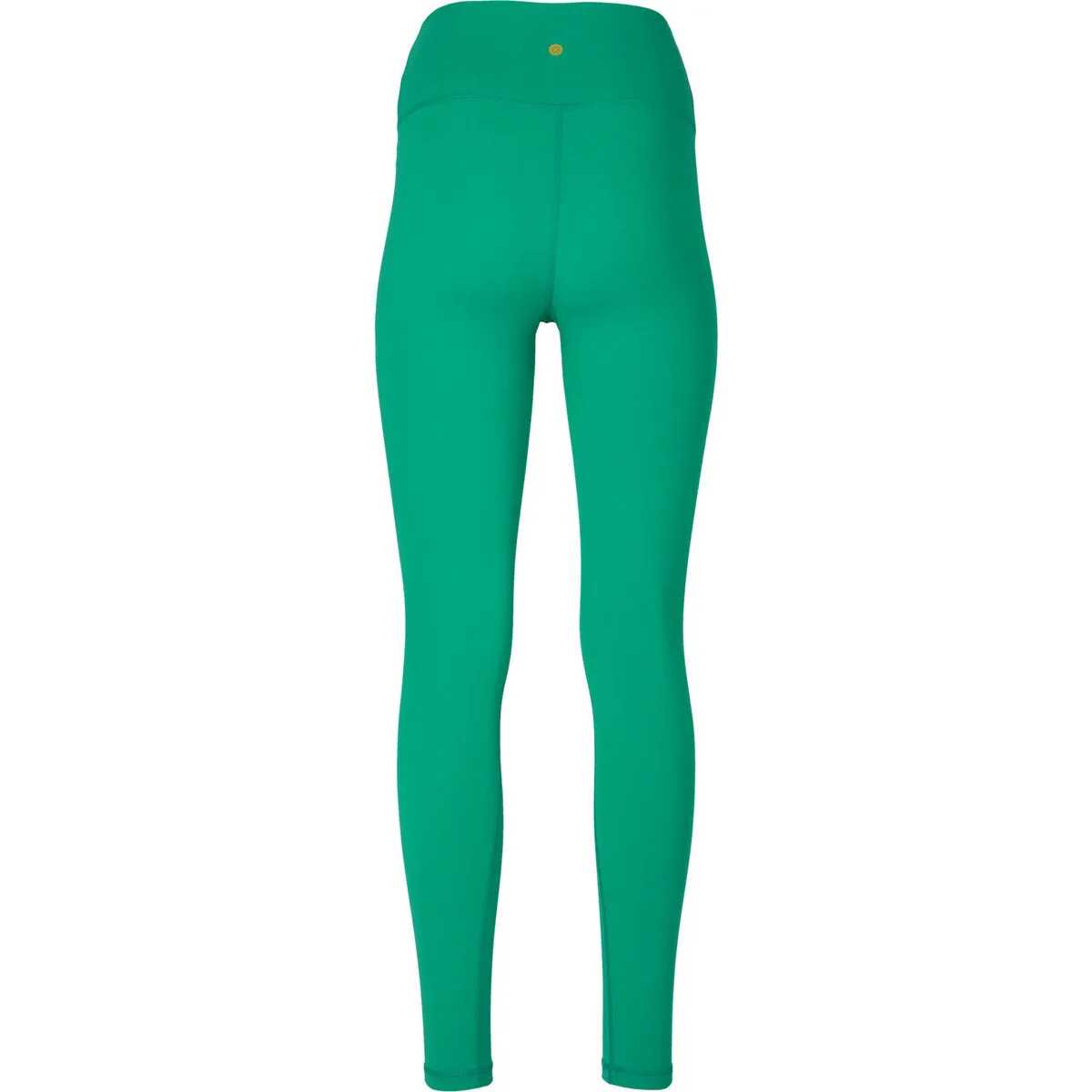 Franz W Tights - Parakeet