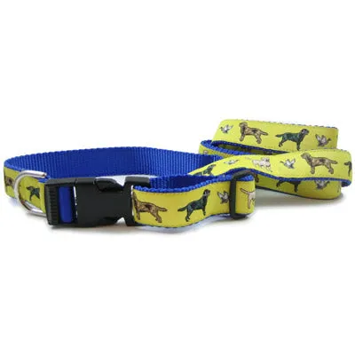 Labrador Retriever Dog Breed Collar or Leash