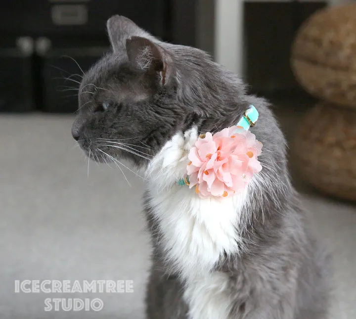 Little Orange Gold Dot Bloom Collar Slide On - Small Flower Collar Accessory