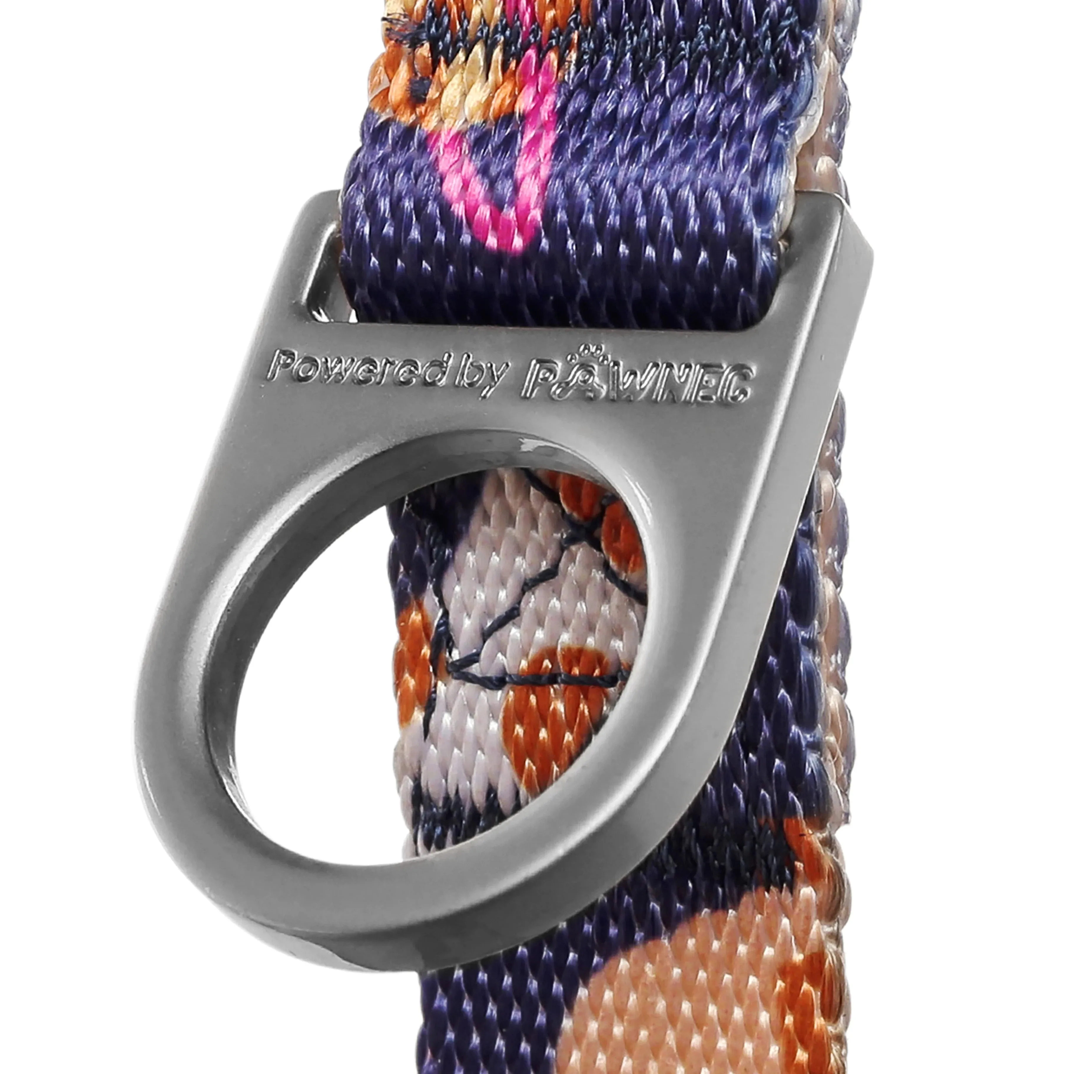 NeoCollar 'Cosmic Paws'