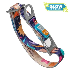 NeoCollar 'Cosmic Paws'