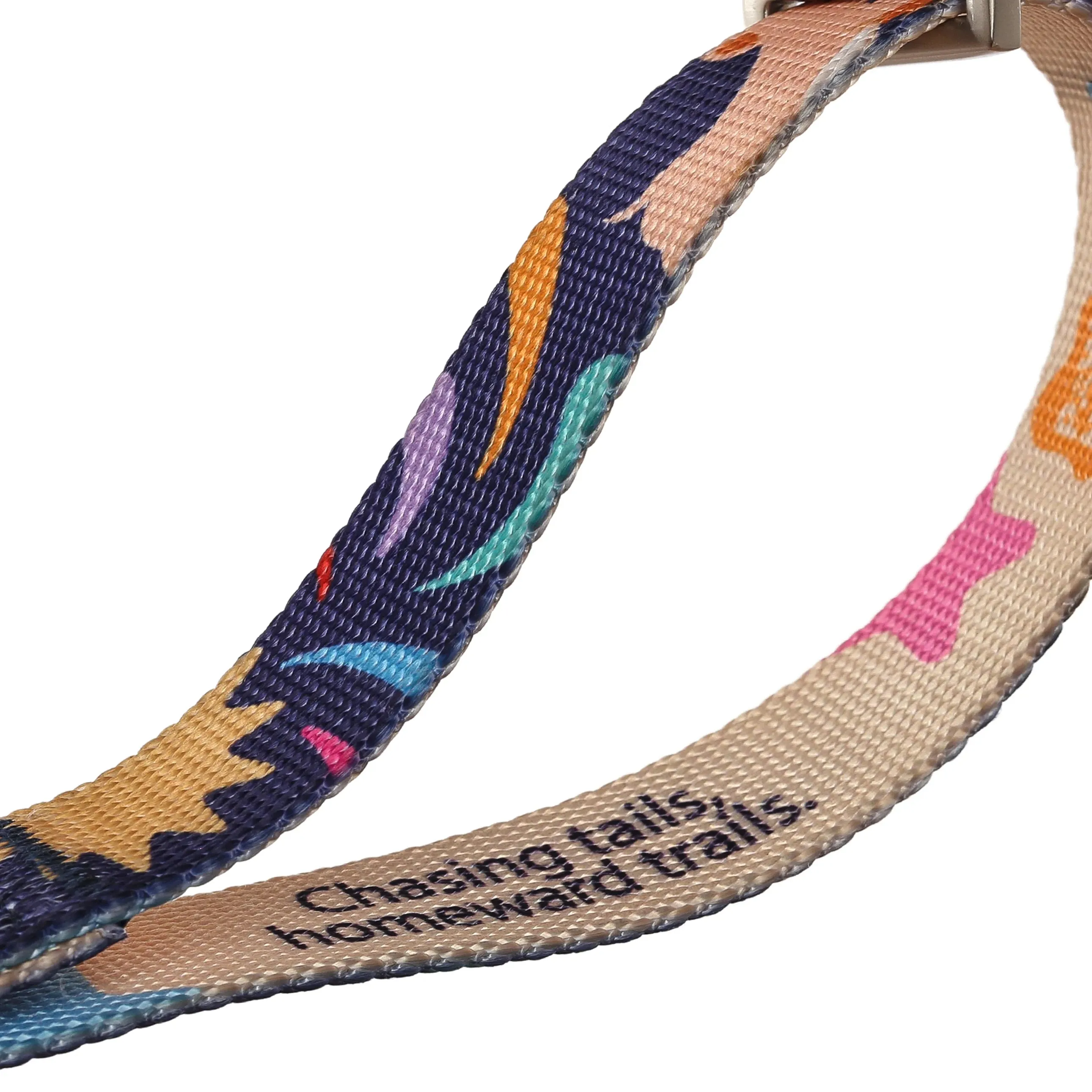 NeoCollar 'Cosmic Paws'