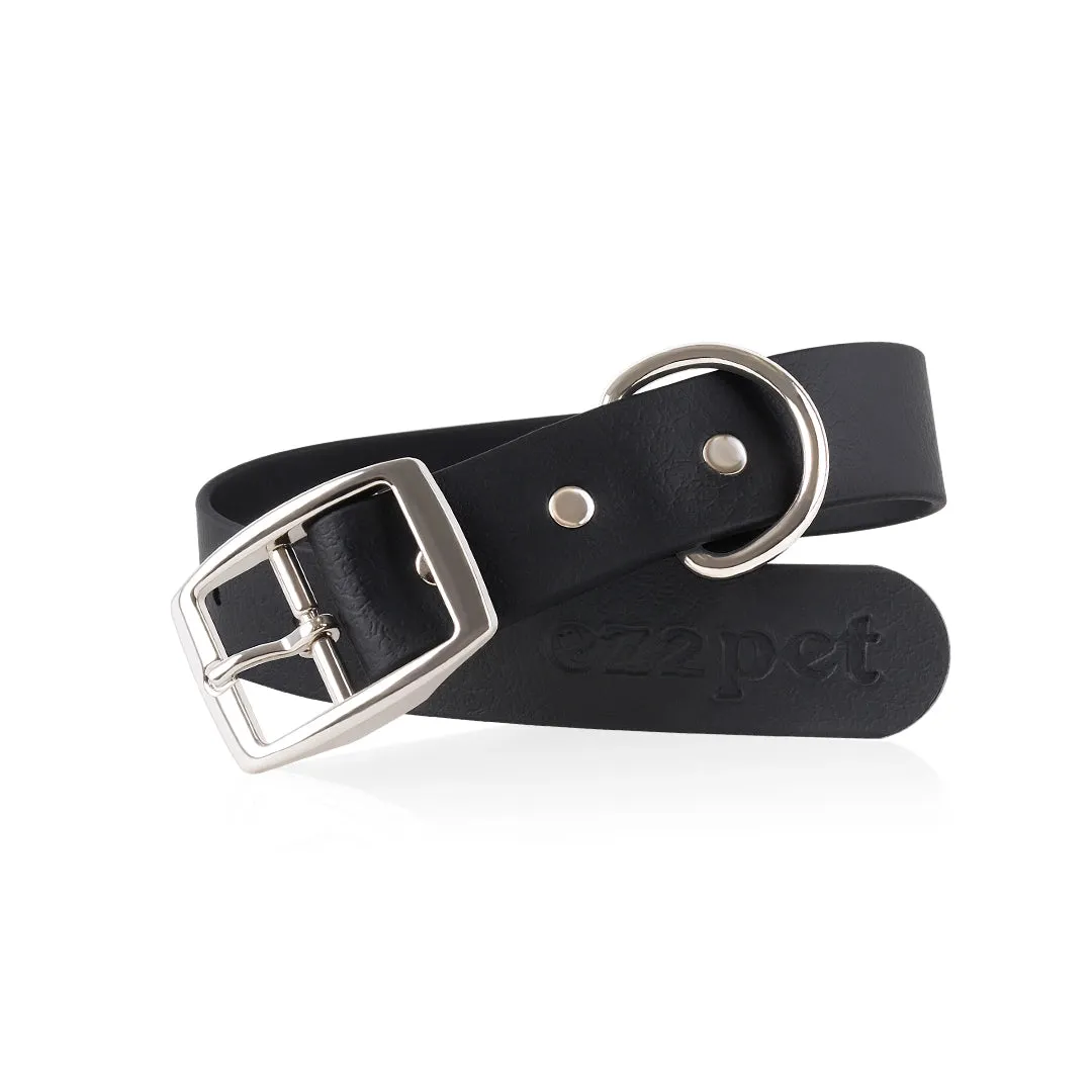 Personalized Dog Collar