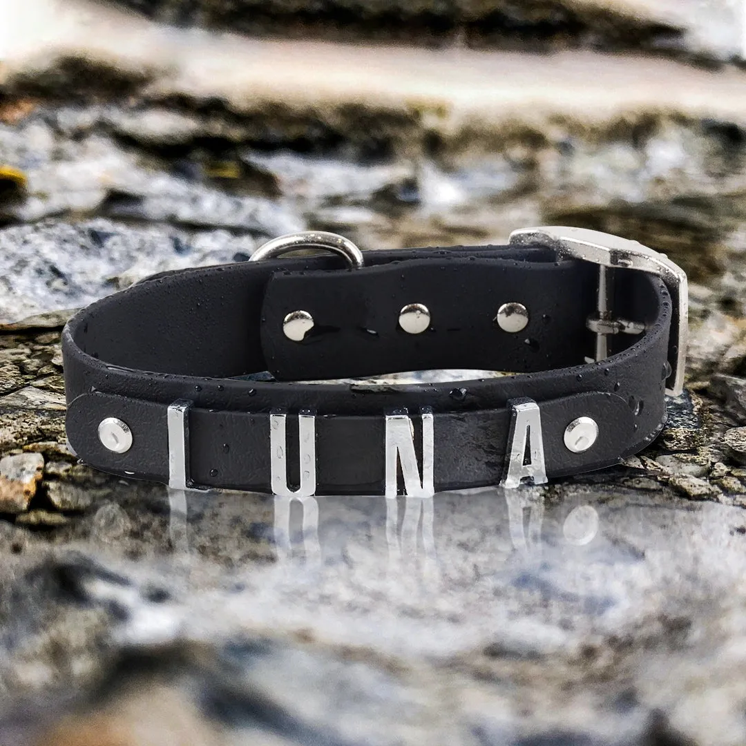 Personalized Dog Collar