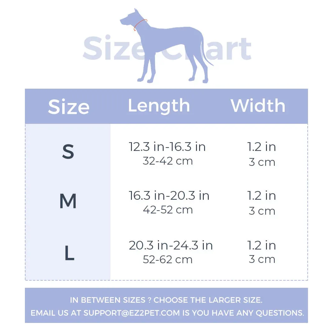 Personalized Dog Collar