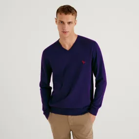 PHOENIX Purple Cotton Men's Pullover V Neck
