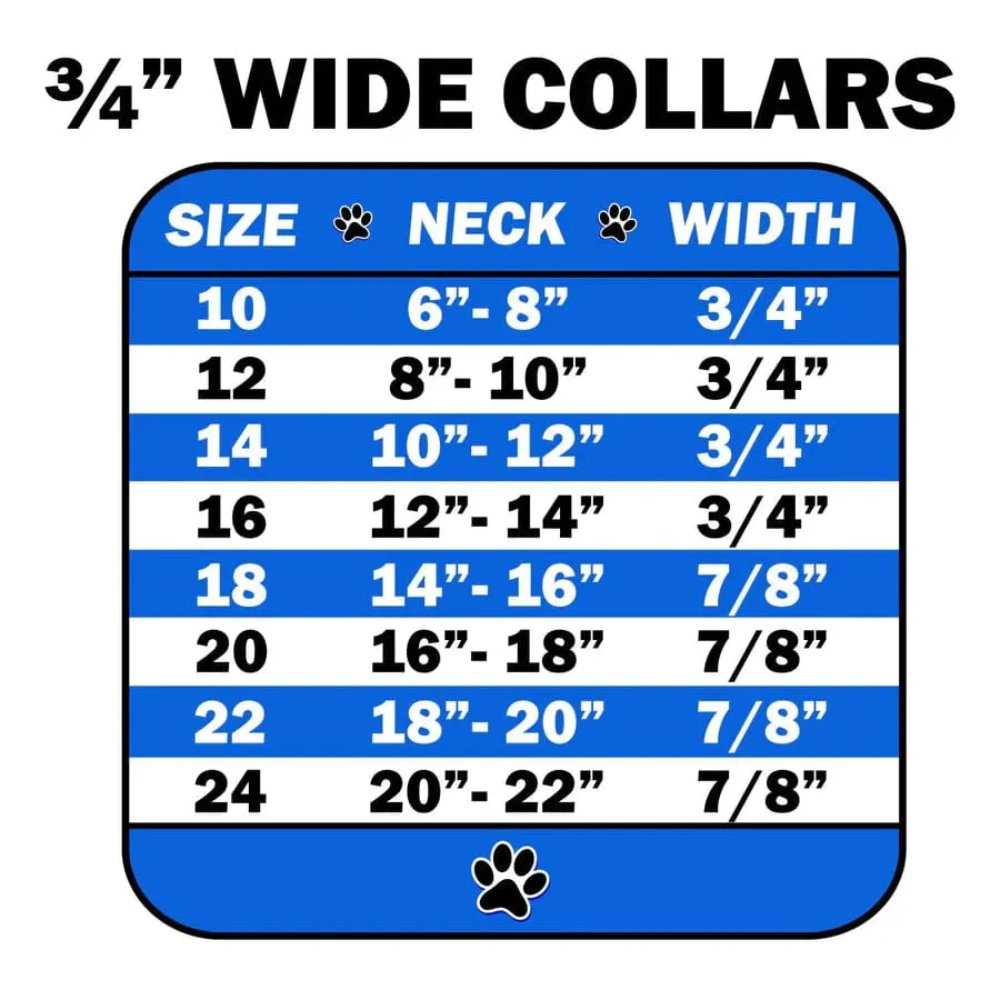 Rhinestone Metal Buckle Collar