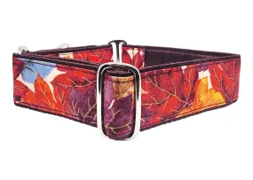 Watercolor Fall Leaves - Martingale Dog Collar or Buckle Dog Collar - 1.5" Width