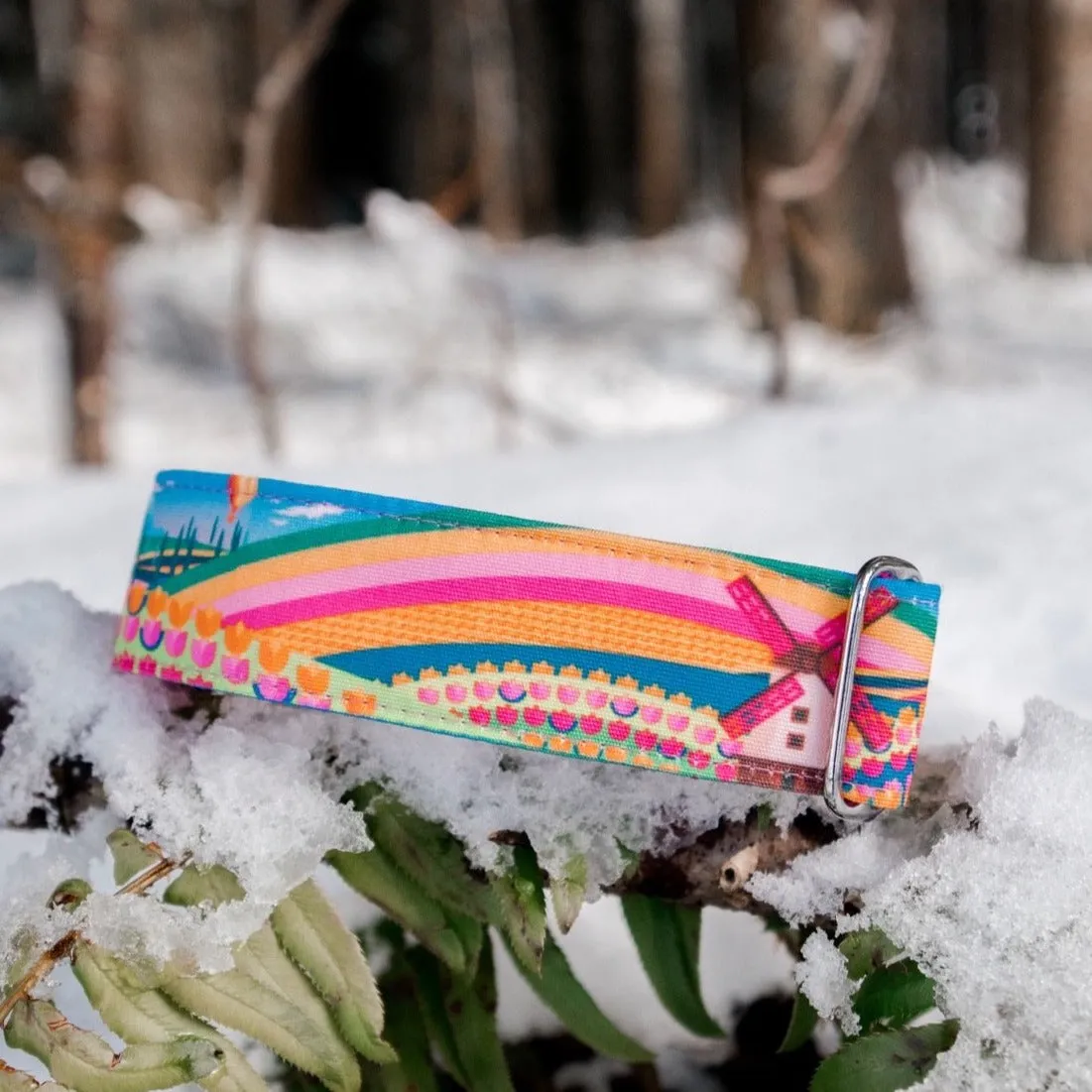 Woodburn Dog Collar